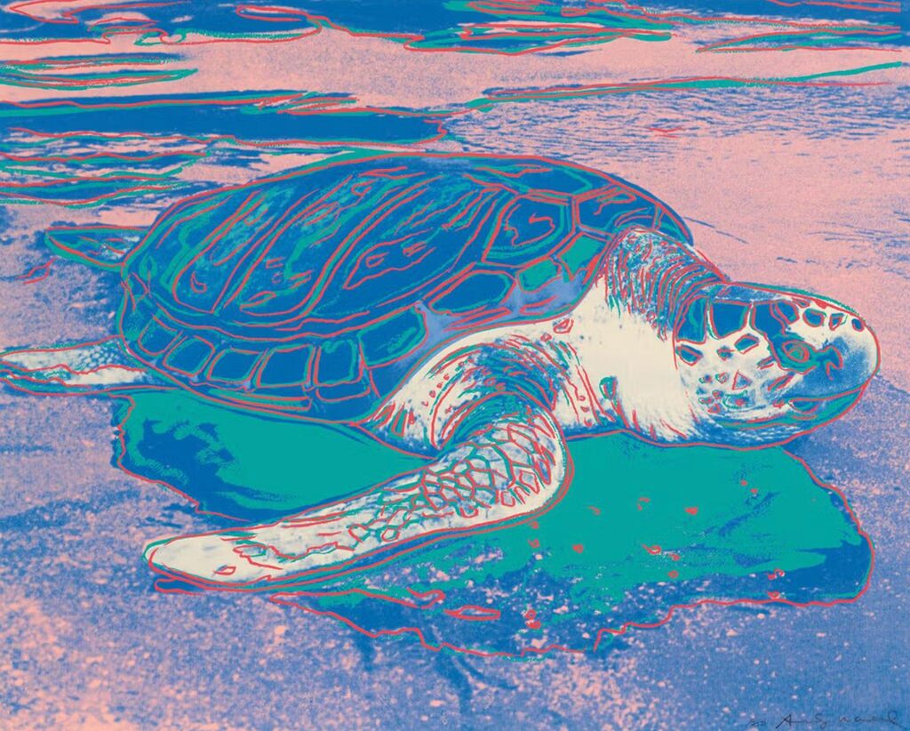 Turtle (F. & S. II.360A), image 1