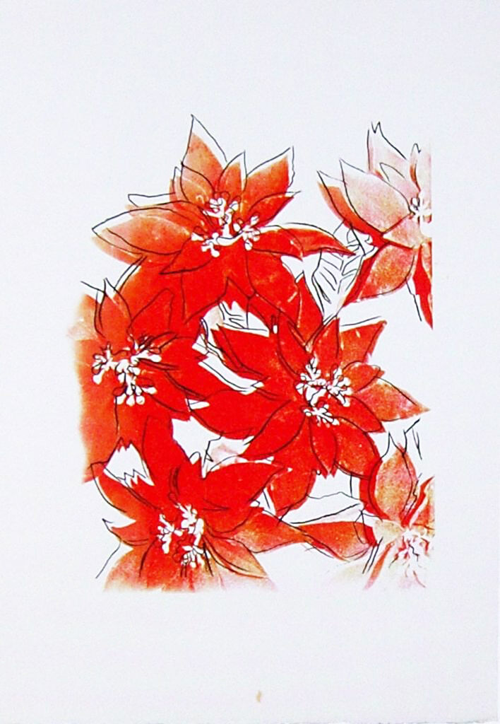 Poinsettias, image 1