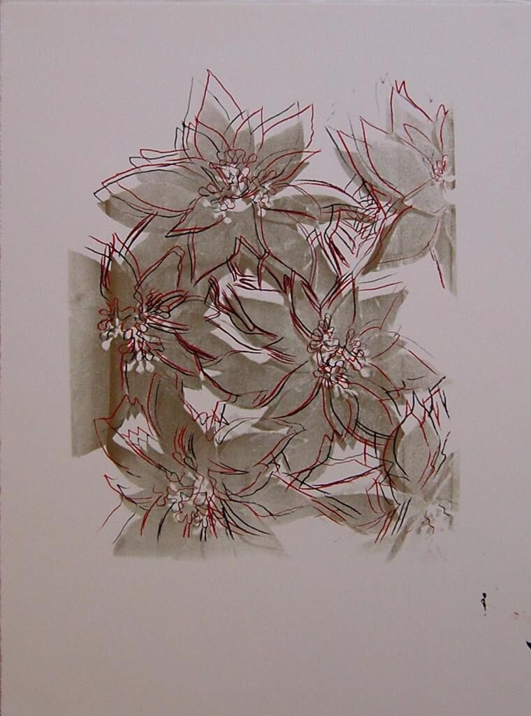 Poinsettias, image 1