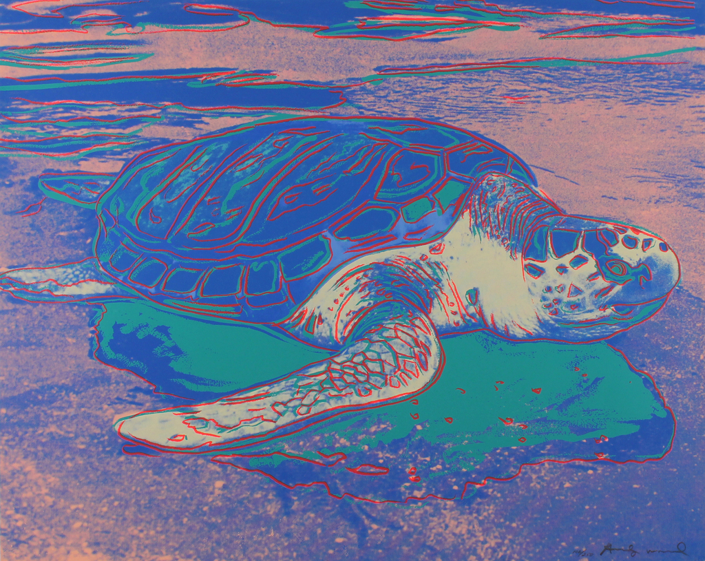 Turtle (FS II.360A), image 1