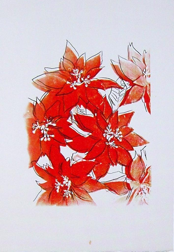 Poinsettias, image 1