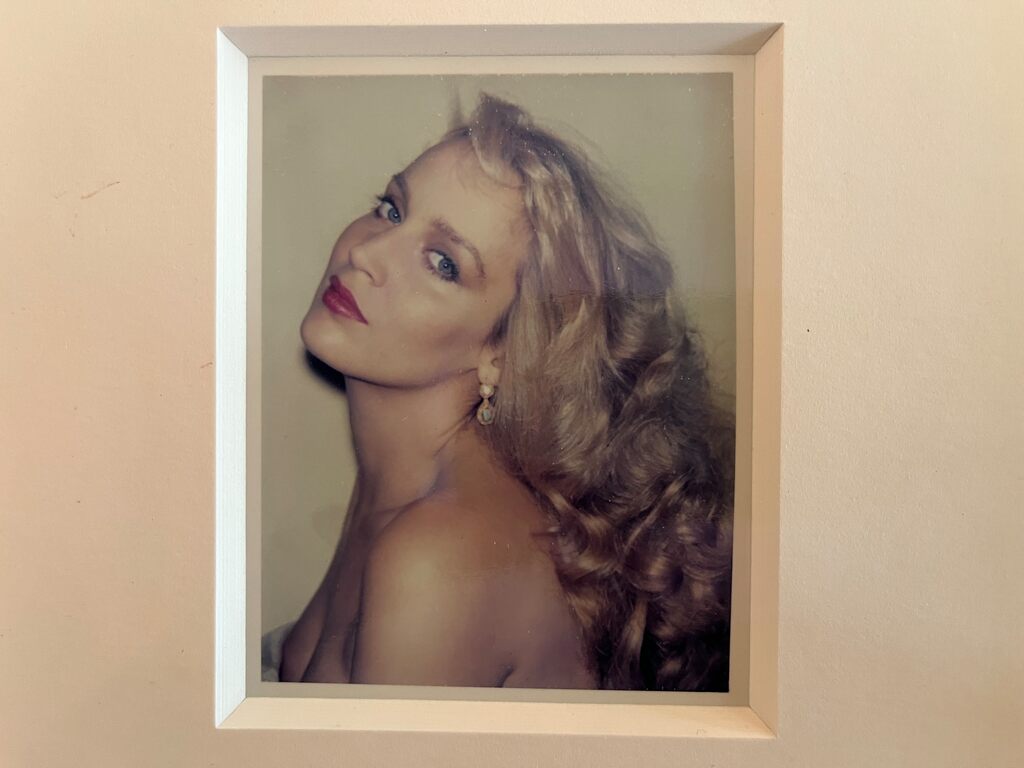 Andy Warhol, Jerry Hall, 1984
