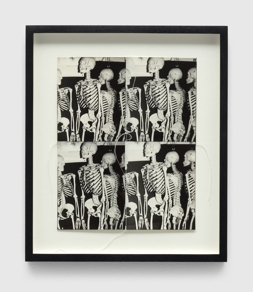 Photo Edition for Parkett, image 1