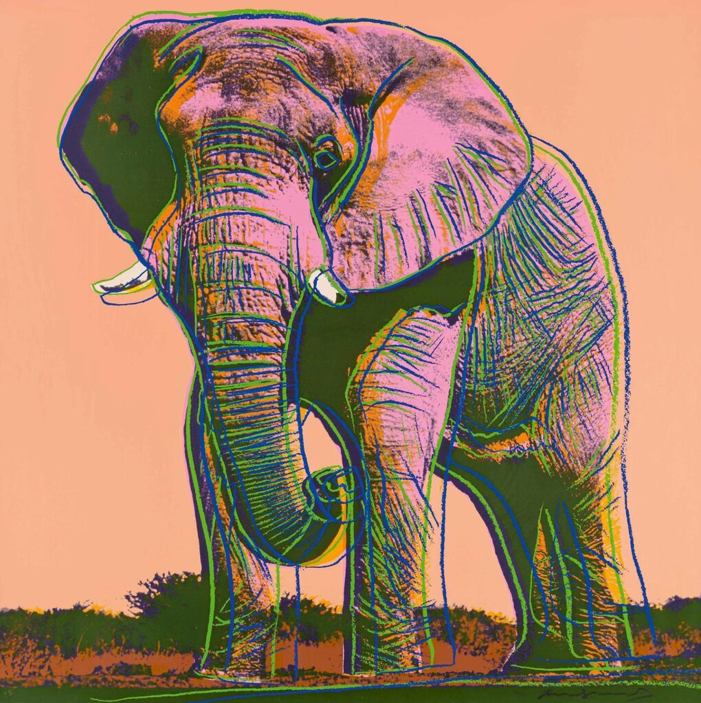 African Elephant (FS II.295), image 1