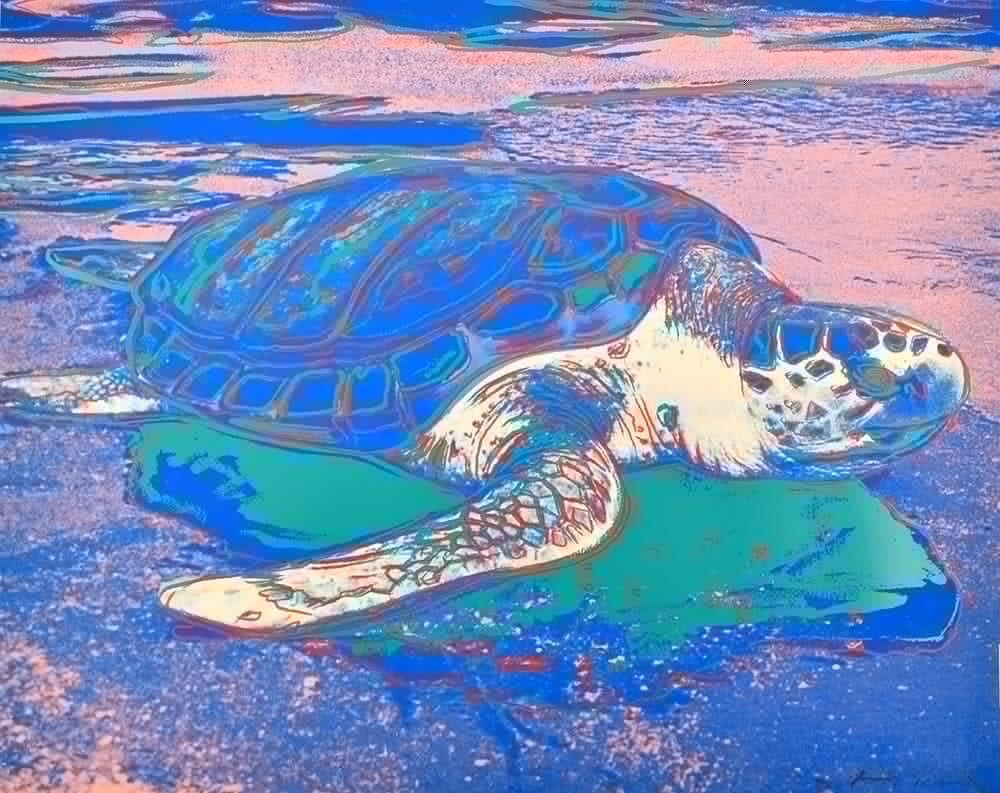 Turtle, image 1