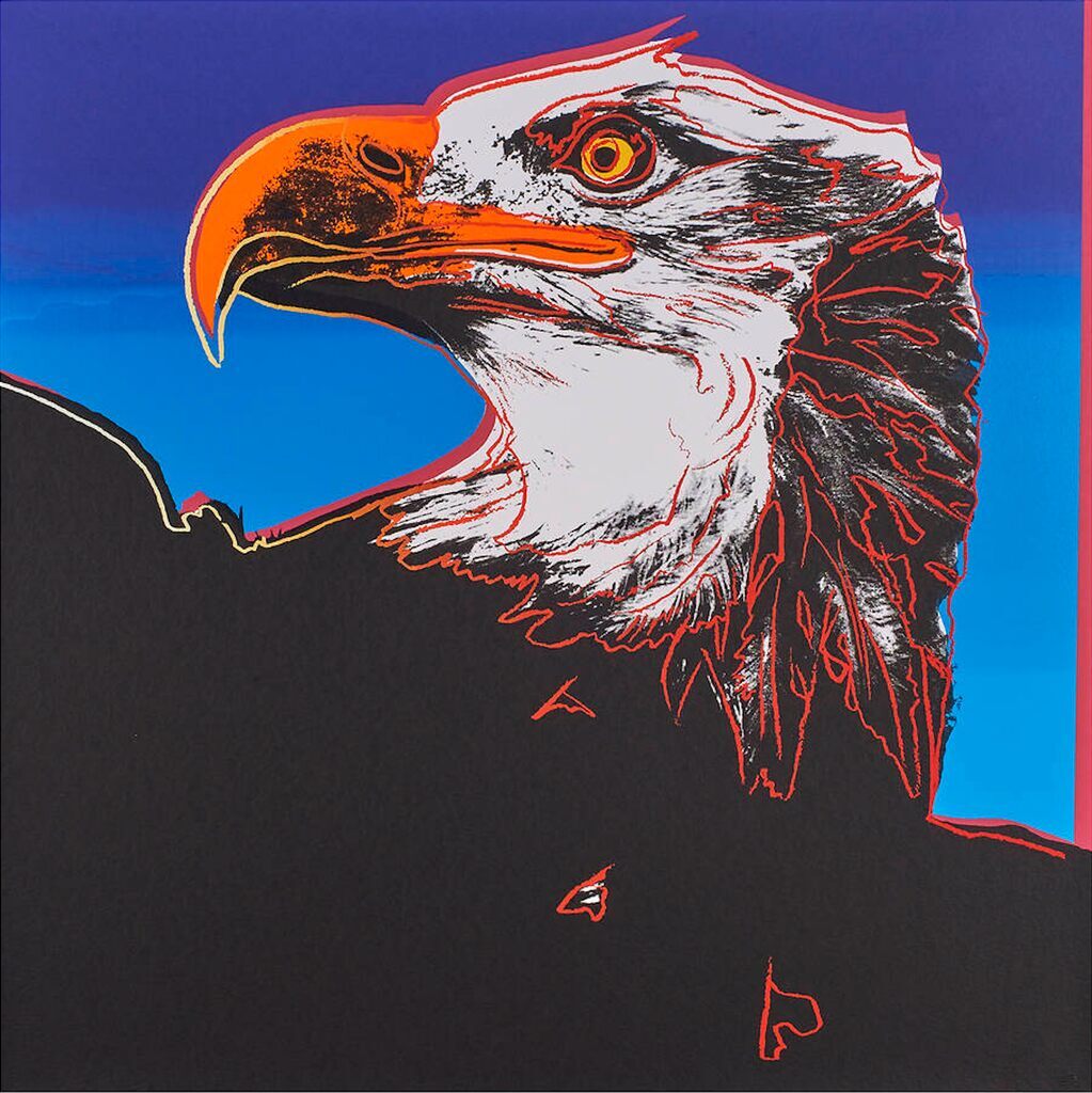 Bald Eagle, immagine 1