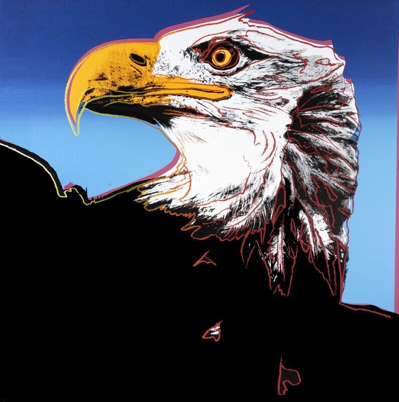 Bald Eagle, from Endangered Species，图片 1