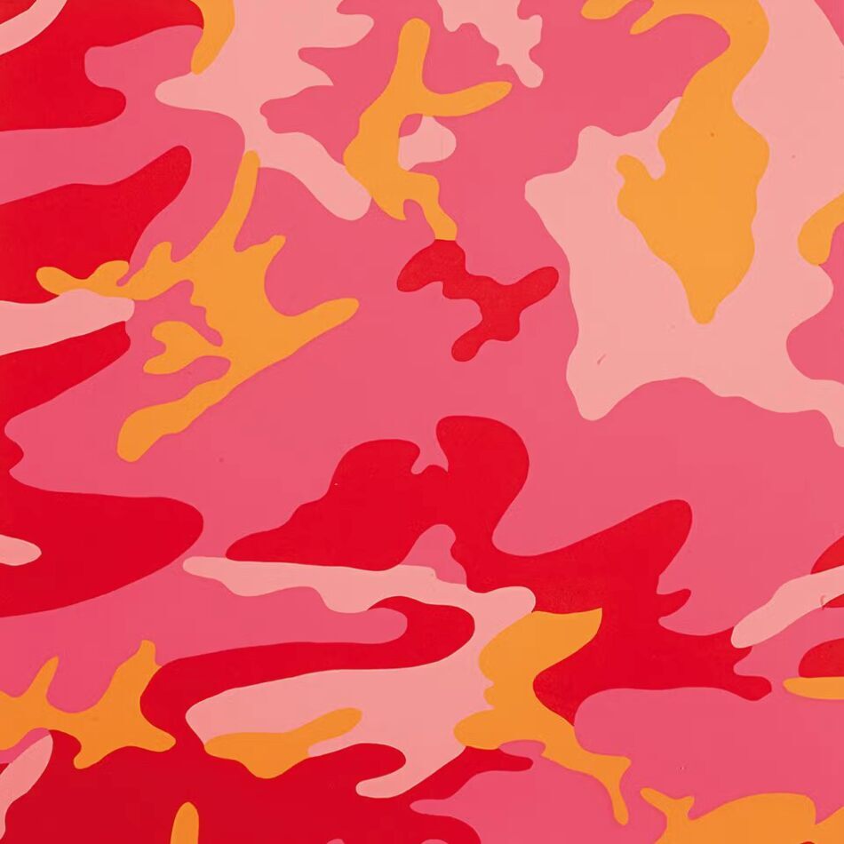 Camouflage (F. & S. II.408), image 1