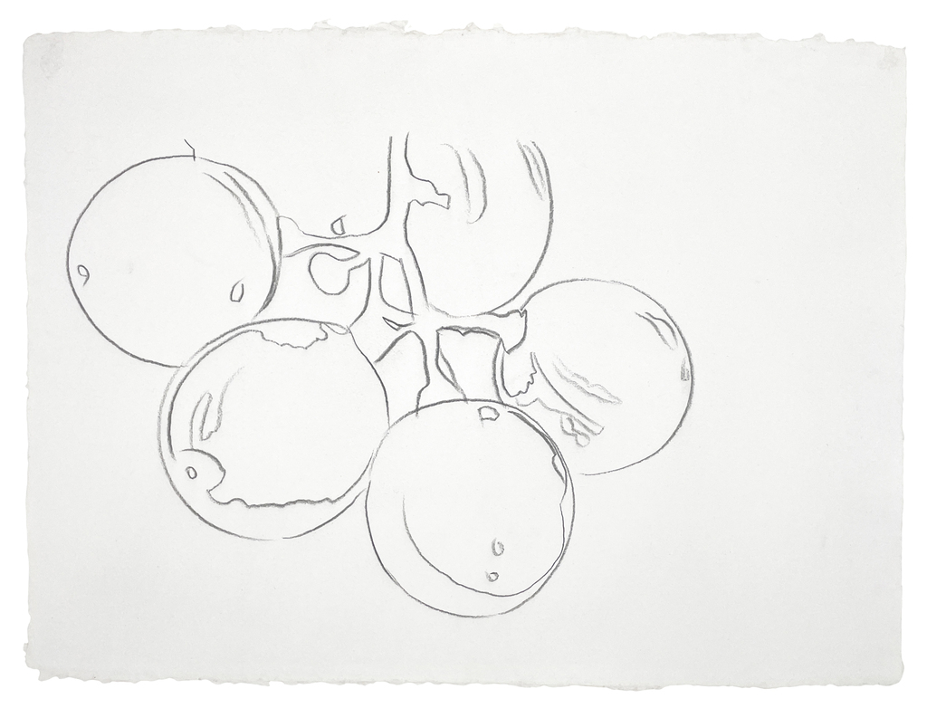 Grapes, image 1