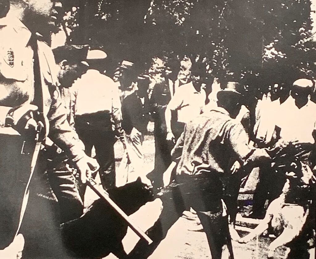 Birmingham Race Riot, image 1