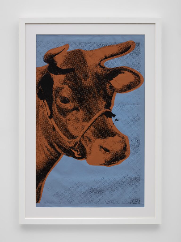 Cow (11a  blue background), image 1