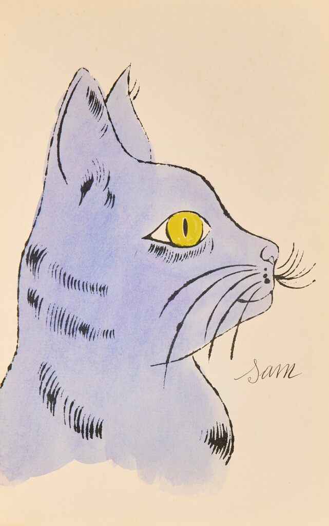 Sam Cat, image 1