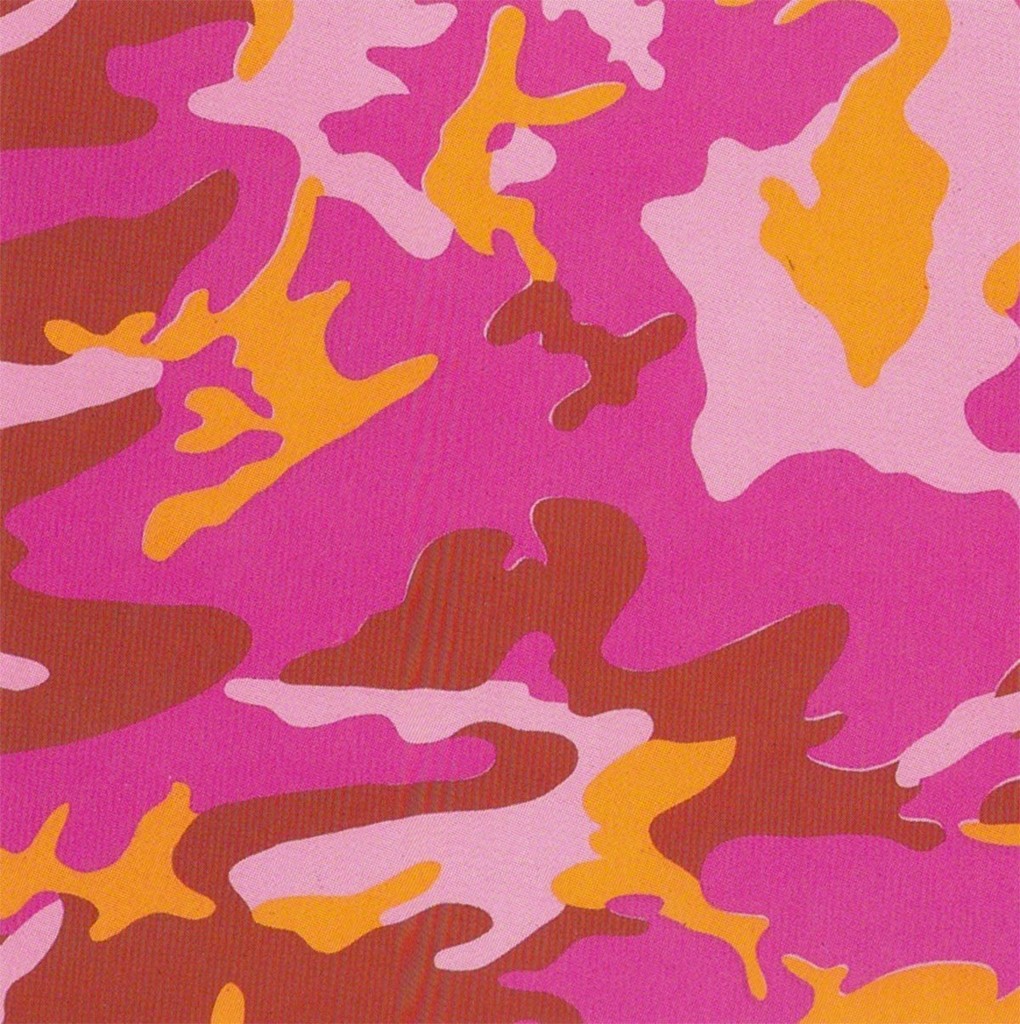 Camouflage (FS II.408), image 1