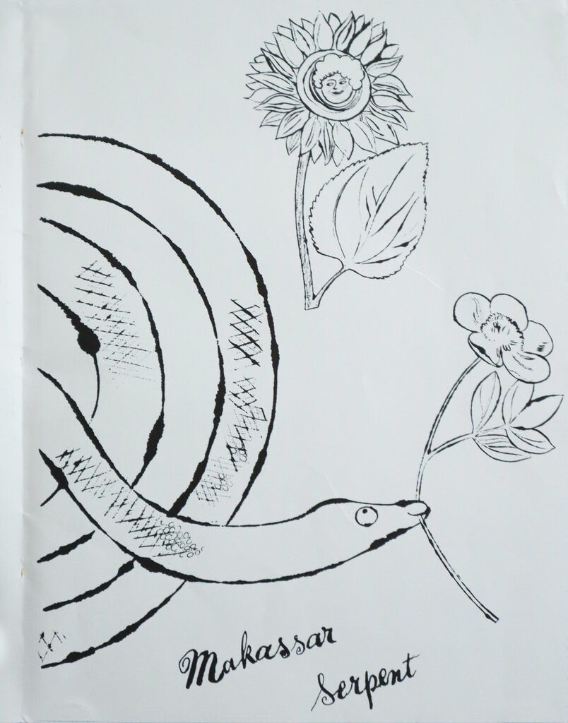Andy Warhol, 1990 Andy Warhol Colouring Book - Makassar Serpent (Monterad), 1990