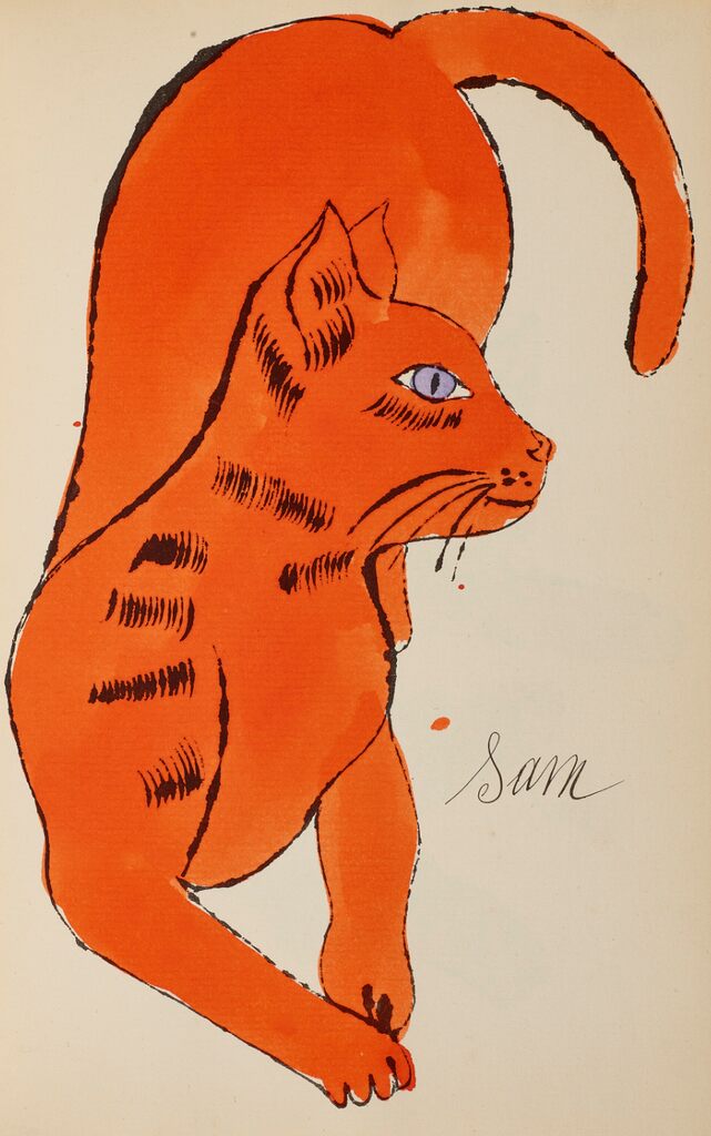 Sam Cat、画像 1