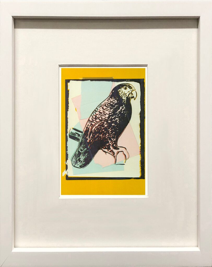 Vanishing Animals: Puerto Rican Parrot, image 1