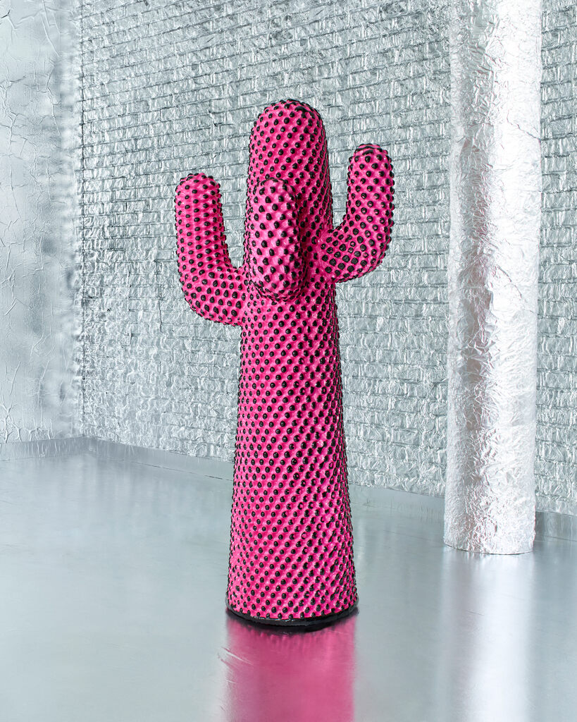 Andy's Pink Cactus, image 1