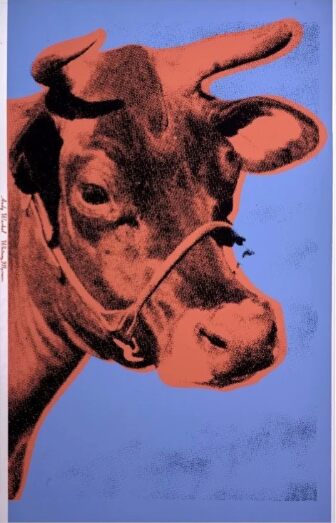 Cow, image 1