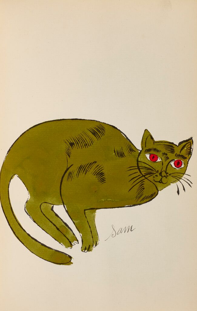 Sam Cat, image 1