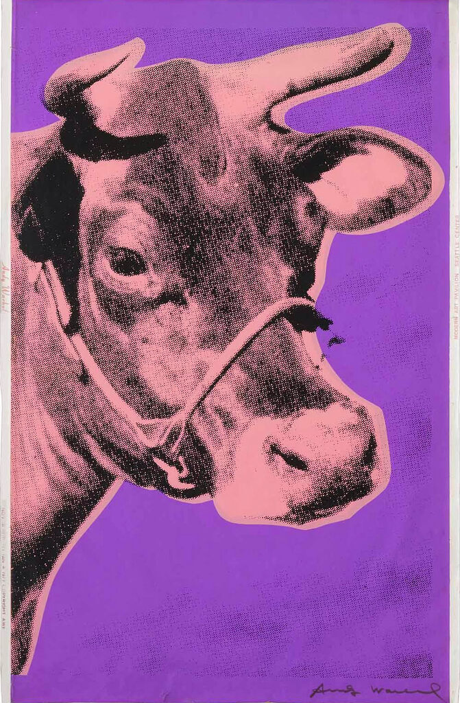 Cow, image 1