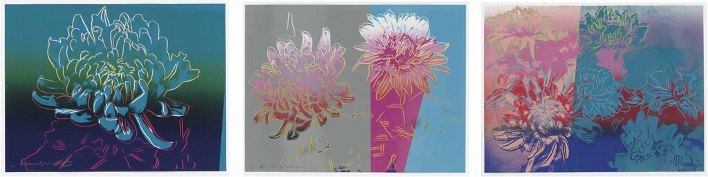 Kiku (complete set) (AP), image 1