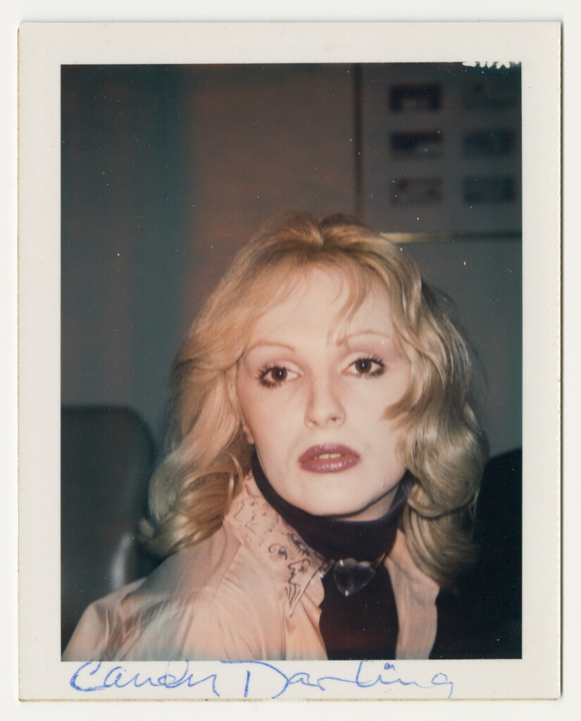 Candy Darling, image 1