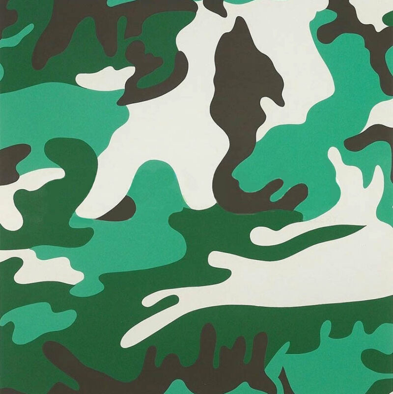 Camouflage, 1987 FS II.406, image 1