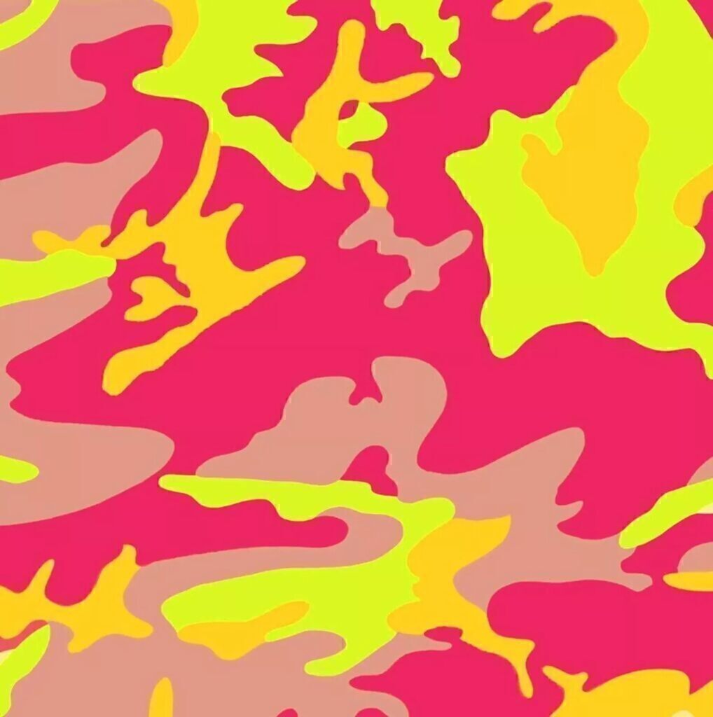 Andy Warhol, Camouflage (F. & S. II. 409), 1987