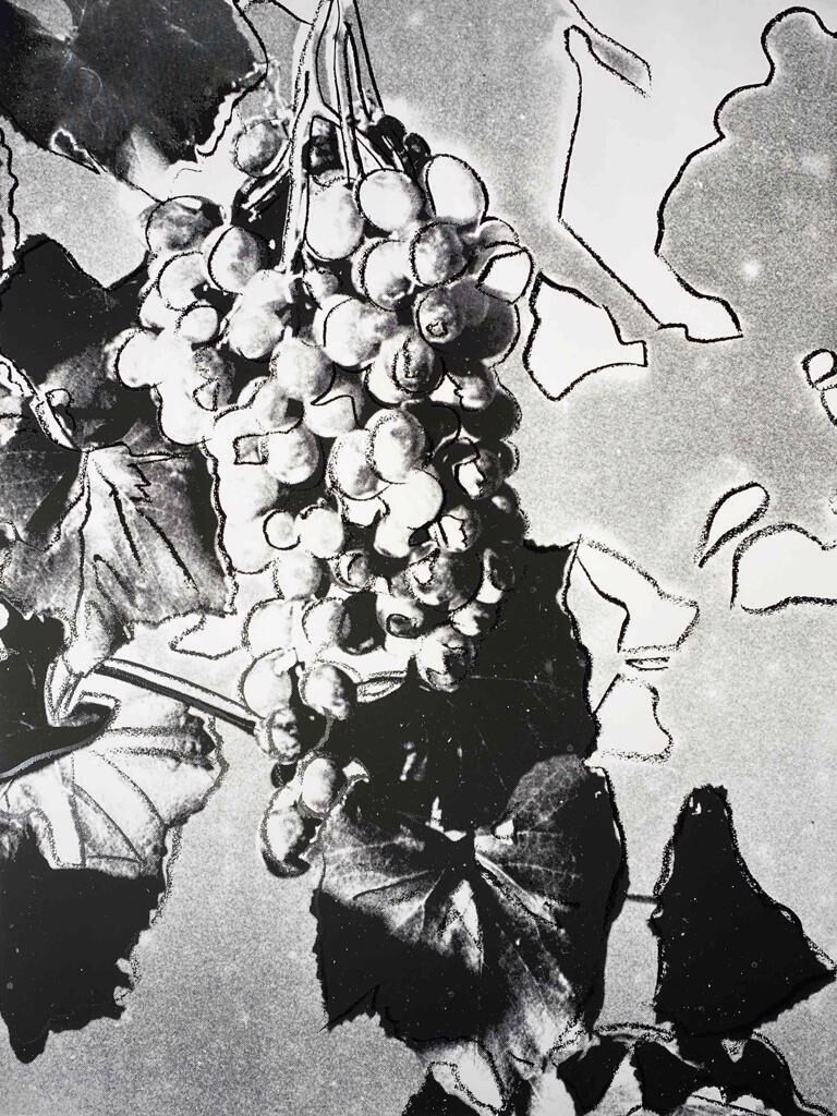 Andy Warhol, Grapes, 1979