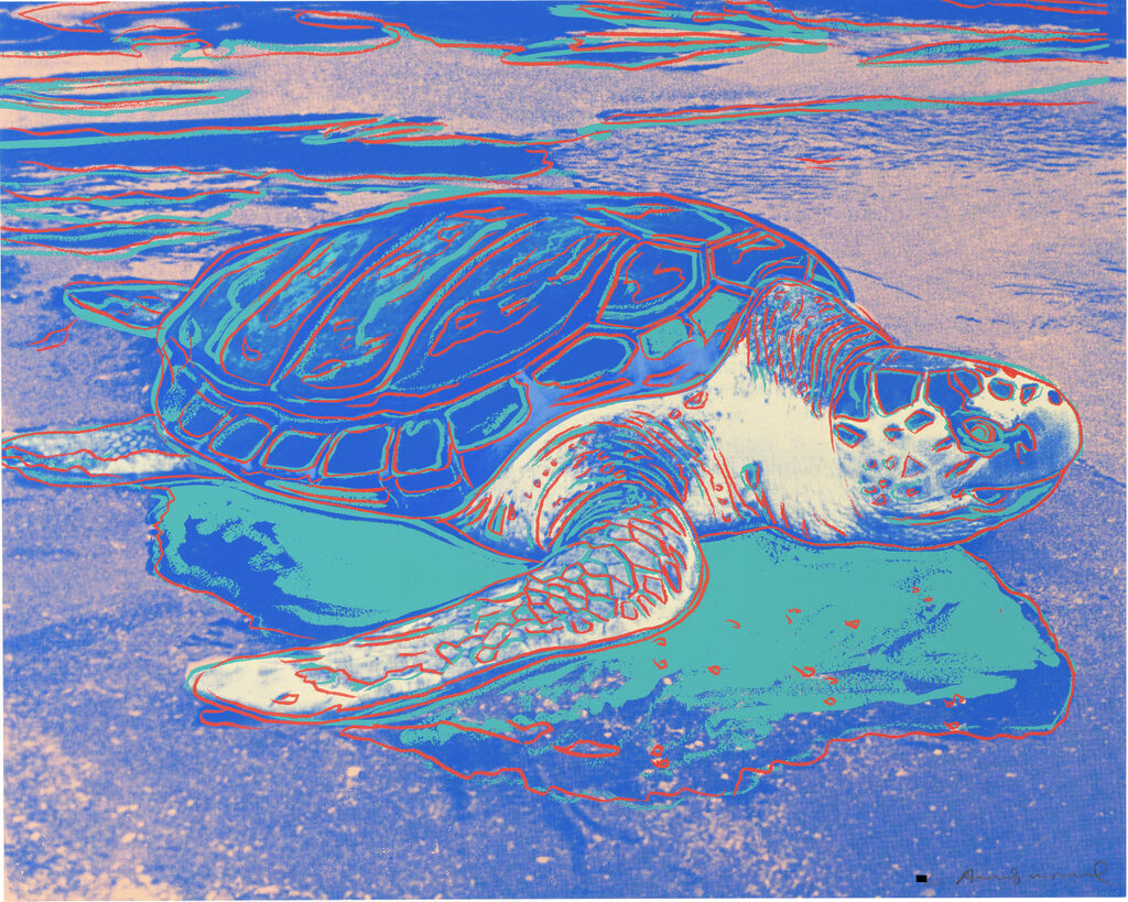 Turtle (FS II.360A), afbeelding 1
