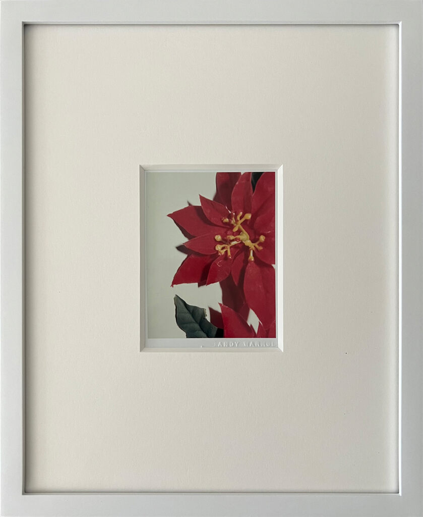 Andy Warhol, Poinsettias, 1983