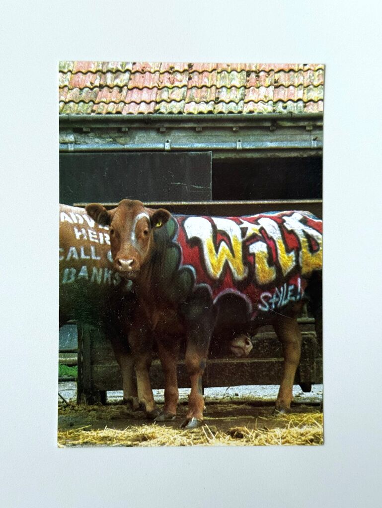 'WILD STYLE' ('TURF WAR' EXHIBITION PROMO CARD)