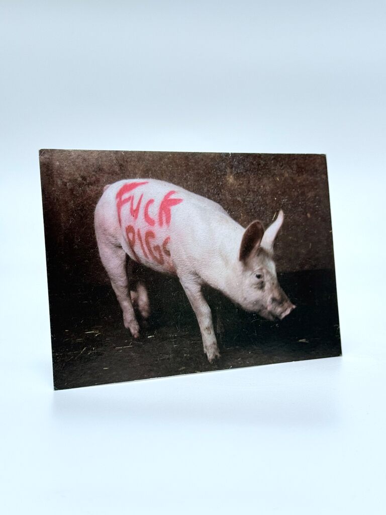 'F*CK PIGS' ('TURF WAR' EXHIBITION PROMO CARD)