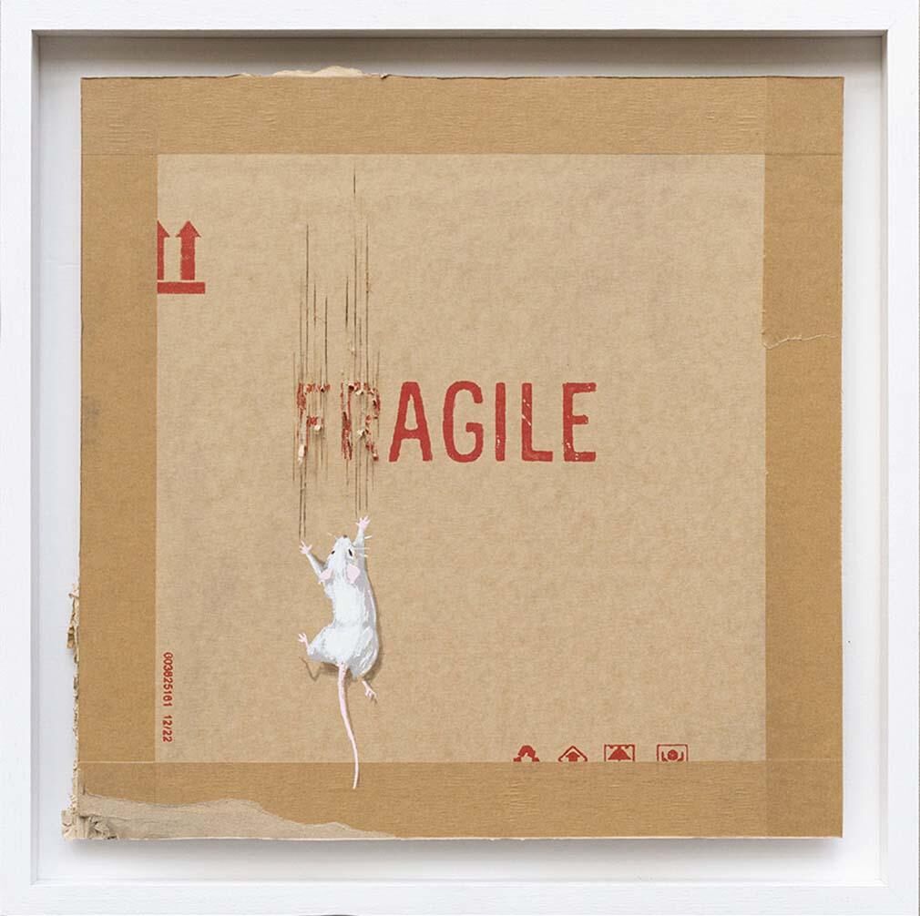 Agile, image 1