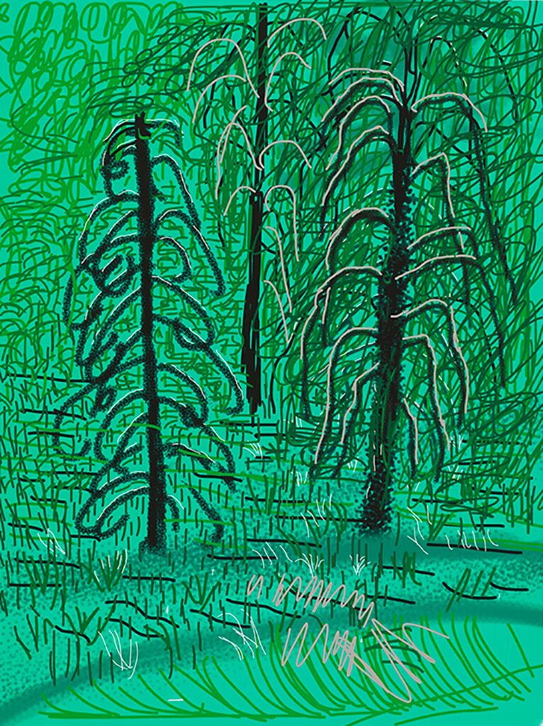 "Untitled No.16" from "The Yosemite Suite", image 1