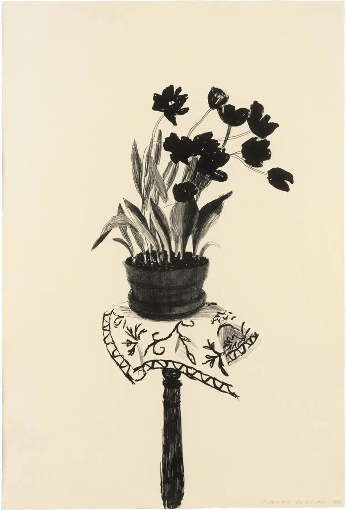 Black Tulips, image 1