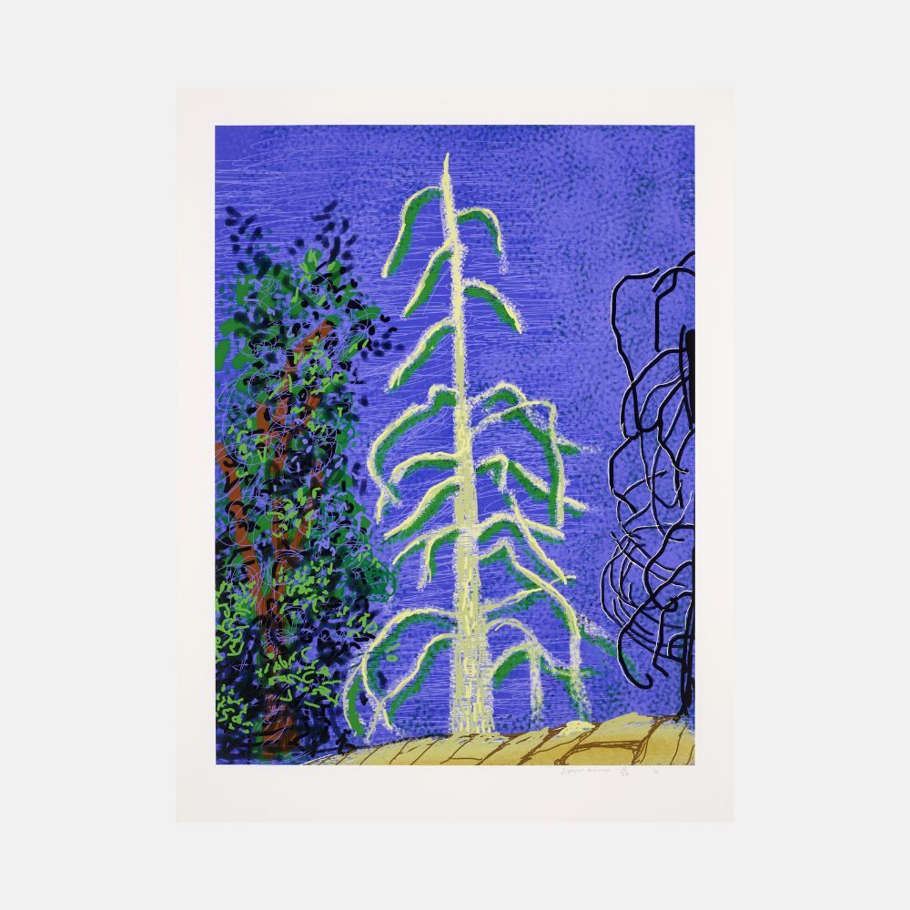 Untitled No.14 from The Yosemite Suite, image 1