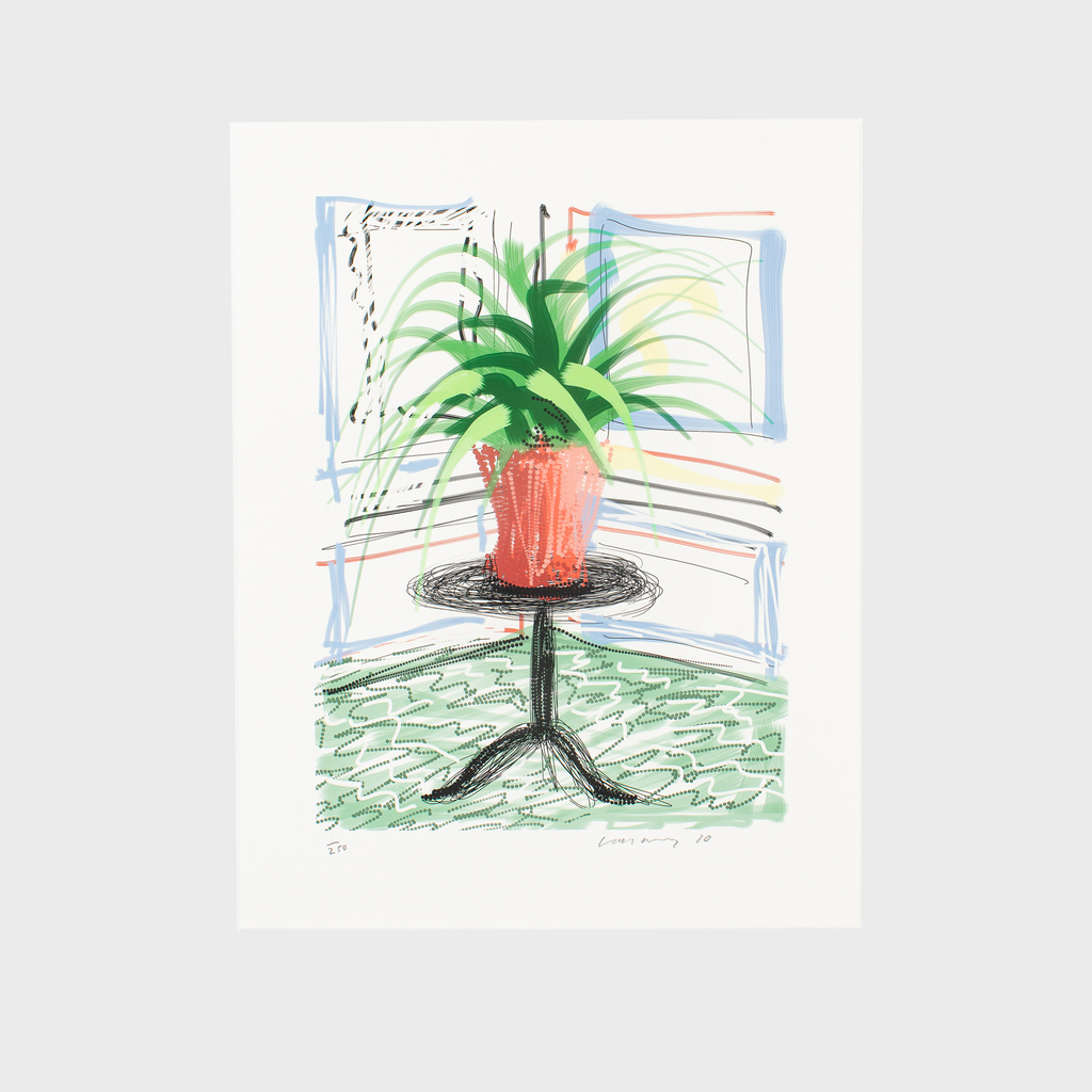 David Hockney, A Bigger Book. Art Edition C, 'Untitled, 468', 2010