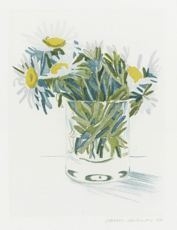 David Hockney, Marguerites, 1973