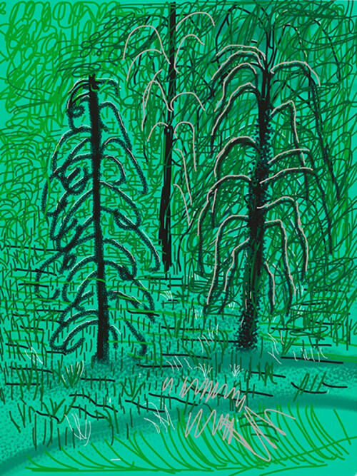 David Hockney, Untitled No. 16, 2010
