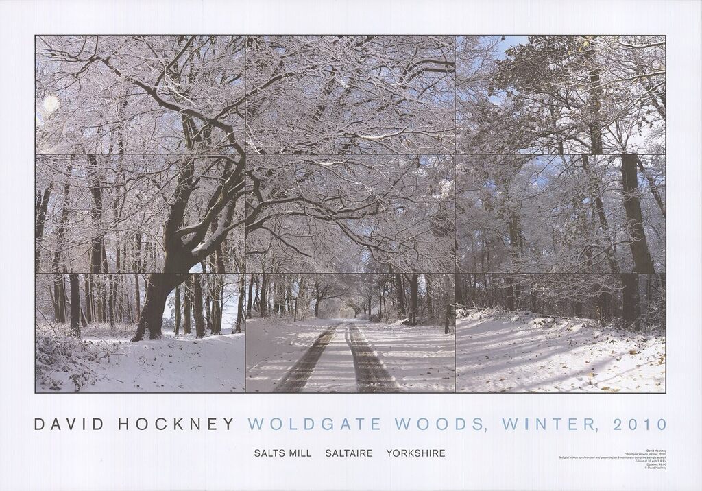 Woldgate Woods - Winter, image 1