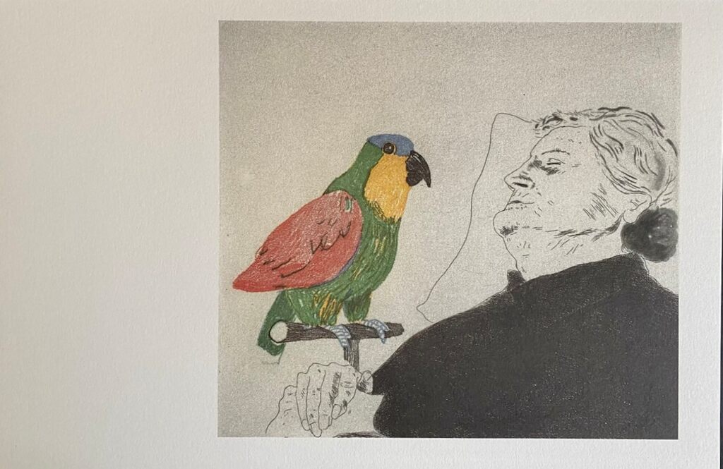 David Hockney, La mère de l'artiste au perroquet, 1990