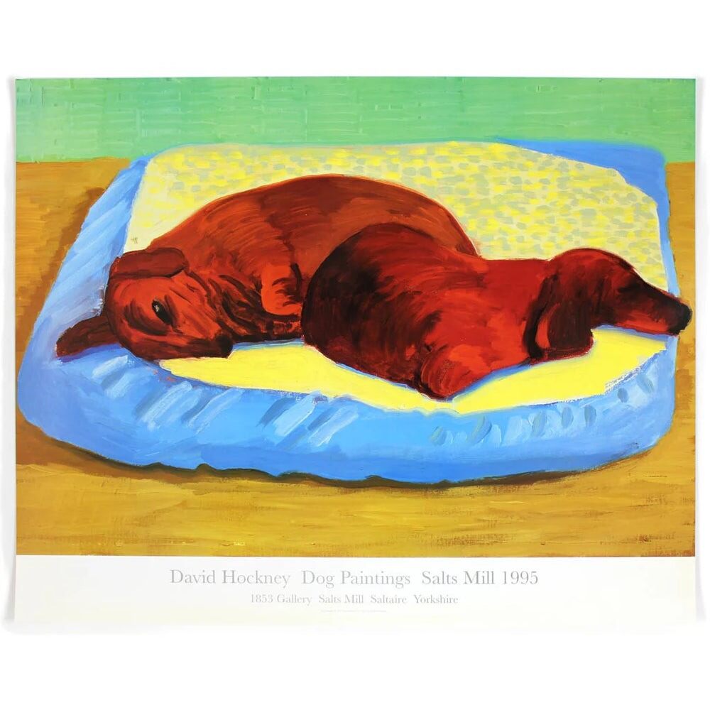Dog 43, image 1