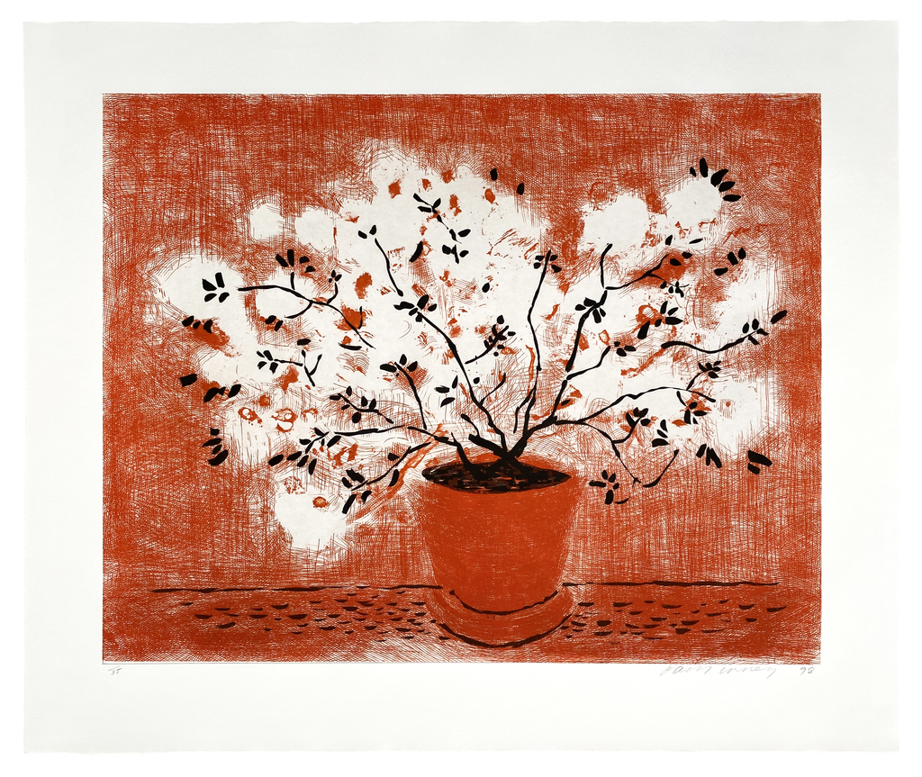 Red Wire Plant, image 1