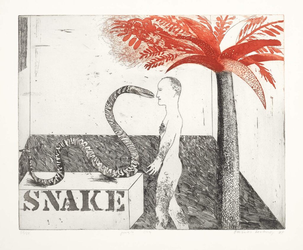 Jungle Boy, image 1