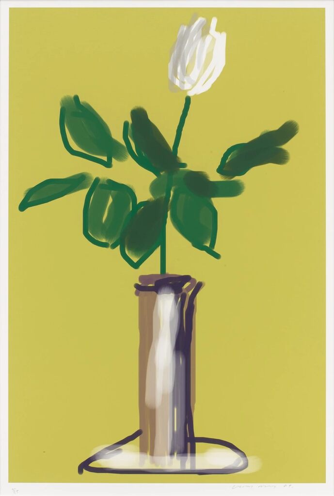 White Rose (2009), image 1