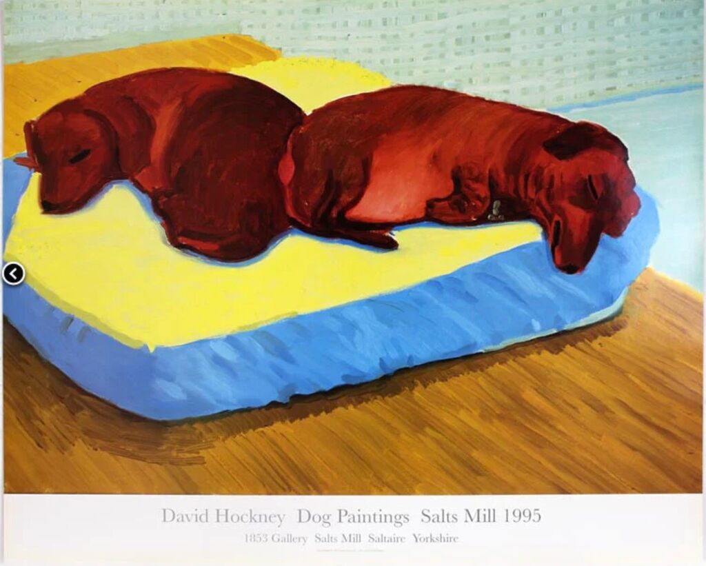 Dachsunds, image 1