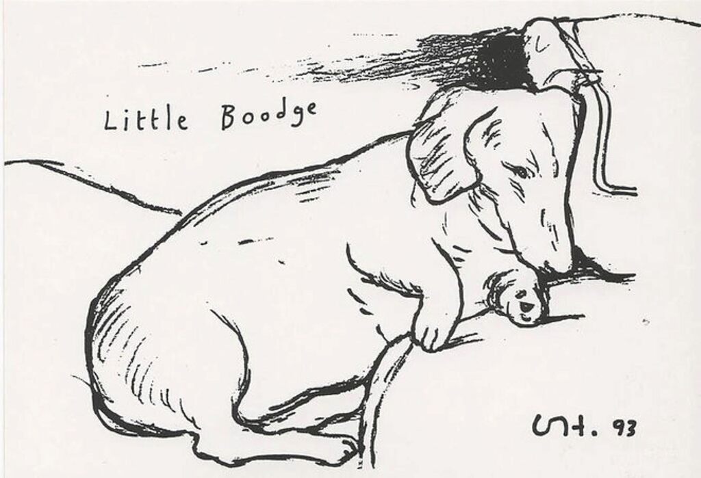 David Hockney, Little Boodge (Dog), 1993