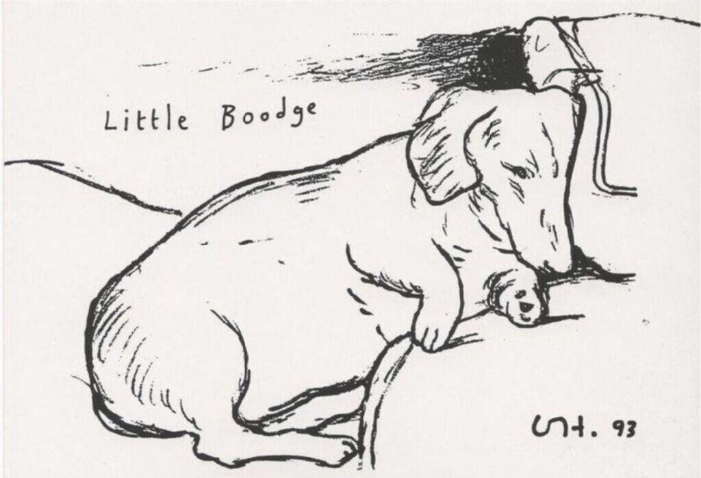 David Hockney, Little Boodge, 1993
