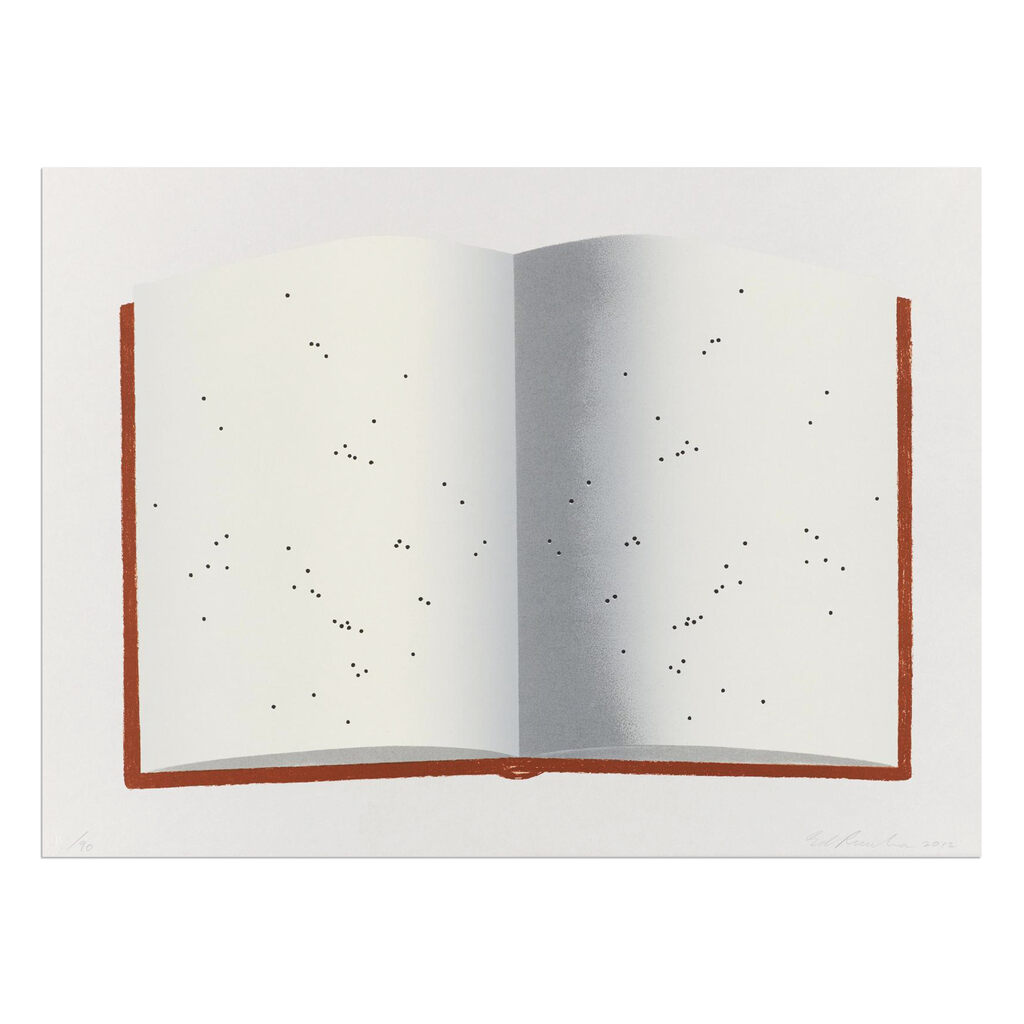 Open Book with Worm Holes, bild 1